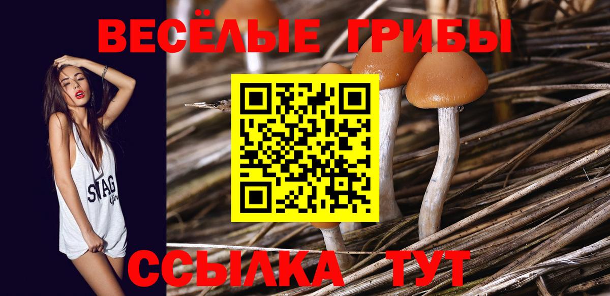 Псилоцибиновые грибы MAGIC MUSHROOMS Избербаш