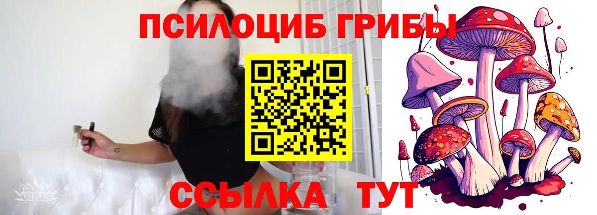 Избербаш  Псилоцибиновые грибы Cubensis  Вход с VPN 